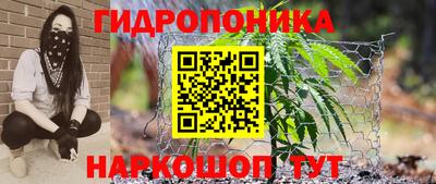 ALPHA PVP Краснознаменск