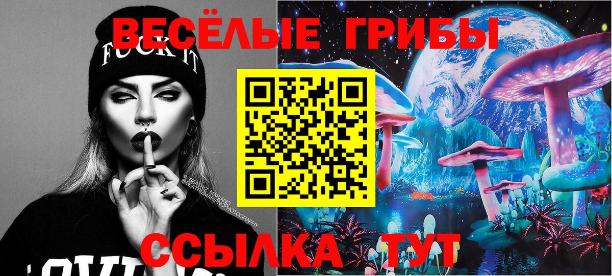 Клин  Псилоцибиновые грибы Cubensis  Вход с VPN 